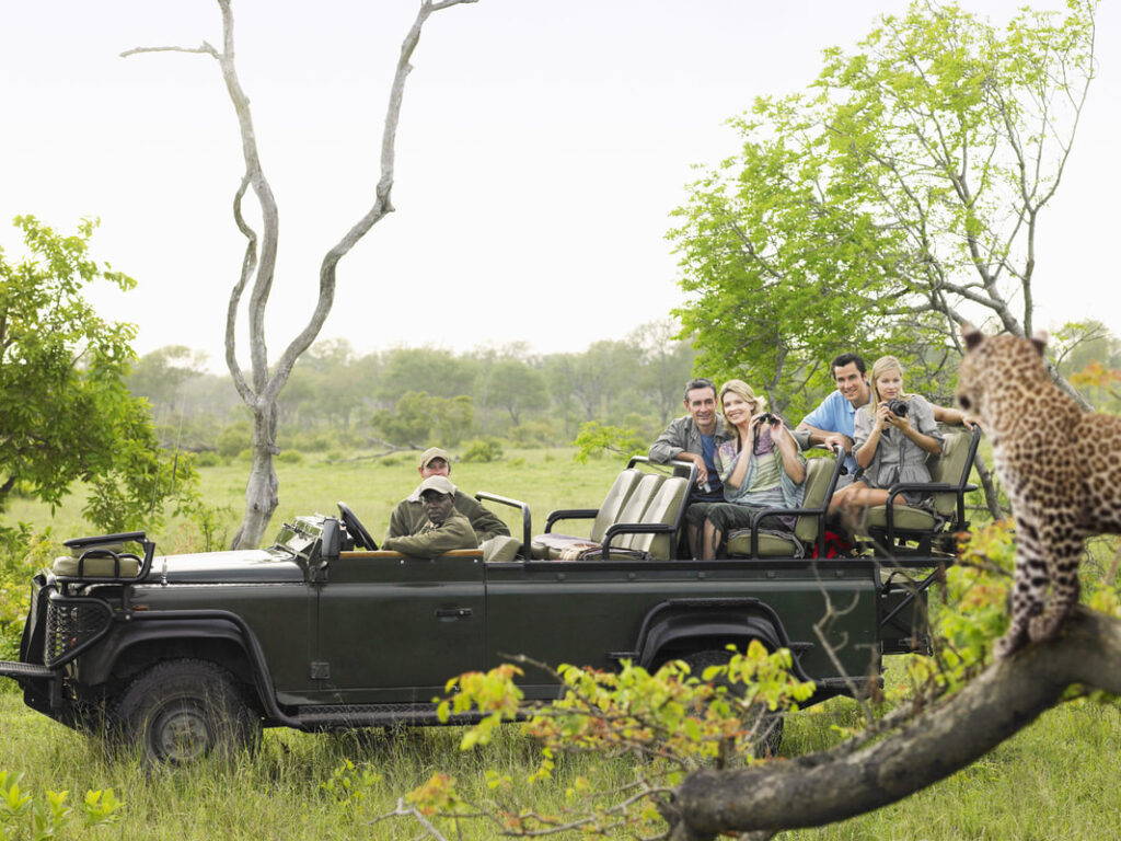 Safari goers in a safari vehicle enjoying observing a leopard on a fallen over tree branch.