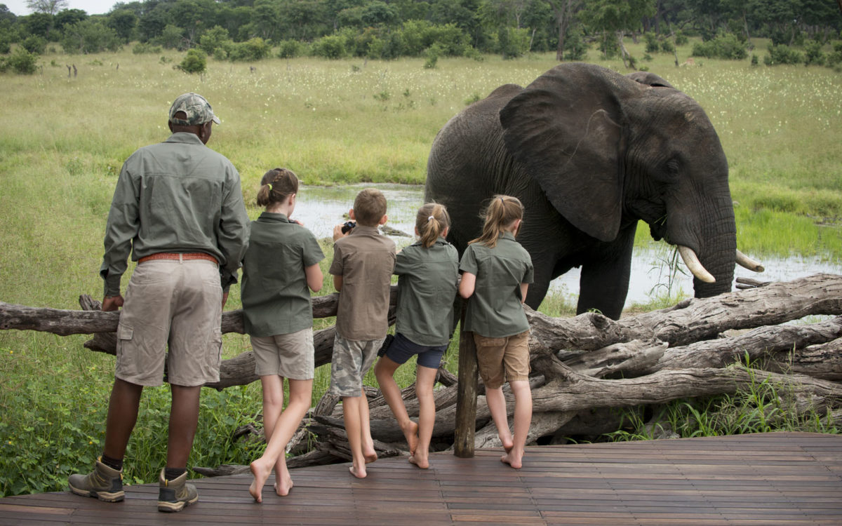 Why visit Zimbabwe with Indigo Safaris