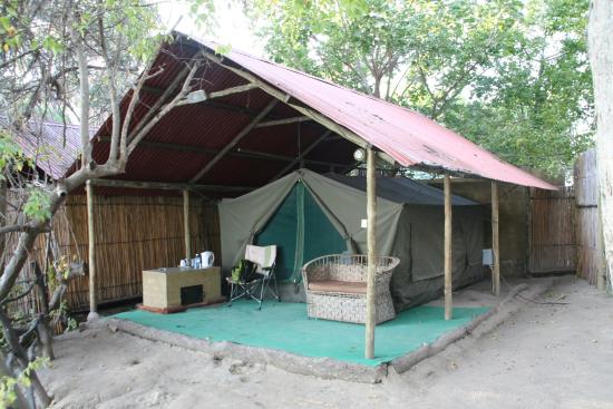 What to pack will sometimes depend on the kind of Safari you're going on.