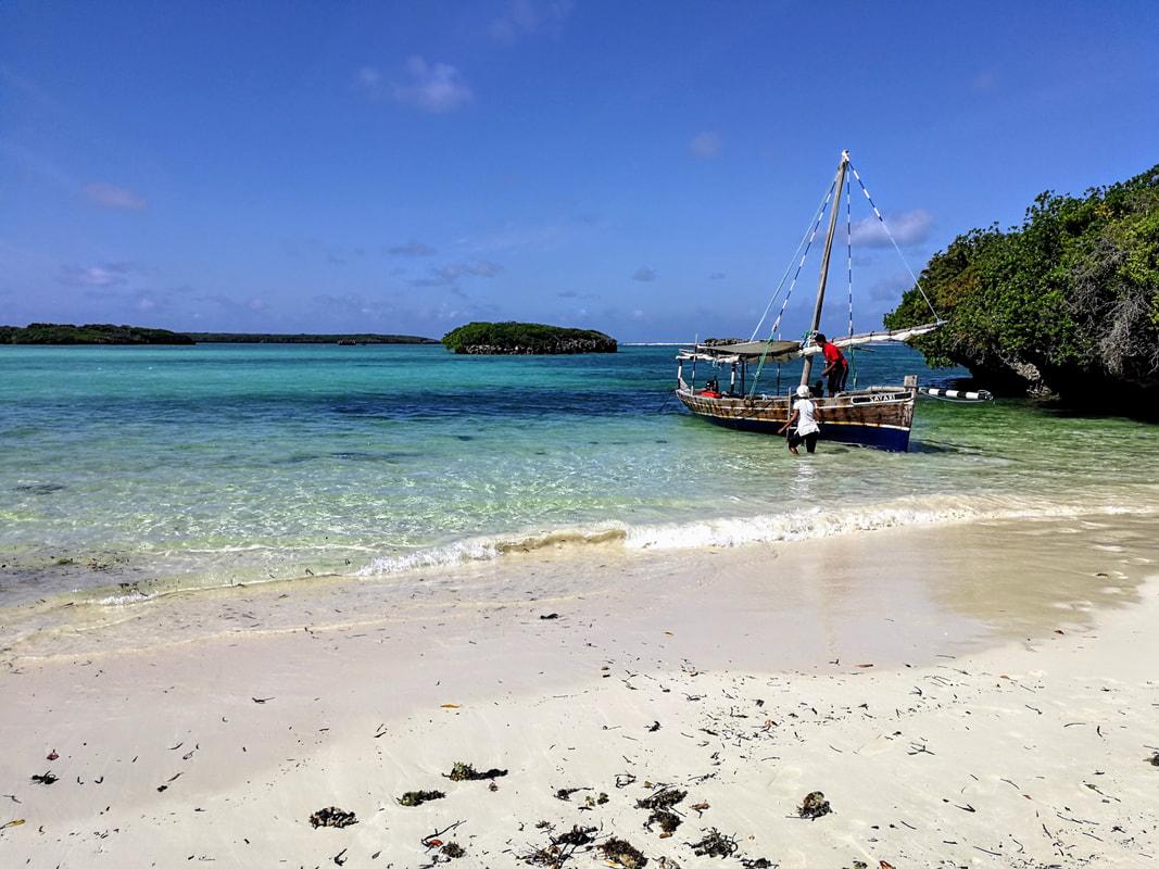 Mafia Island, Tanzania - A serene beach coast with a traditional fishing boat set against the backdrop of crystal-clear waters for the Why Visit content block.