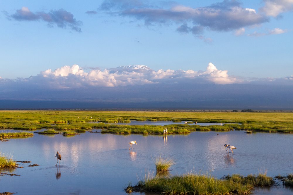 Amboseli National Park: A stunning landscape showcasing the expansive plains and majestic views of Mount Kilimanjaro, capturing the essence of this iconic wildlife destination.