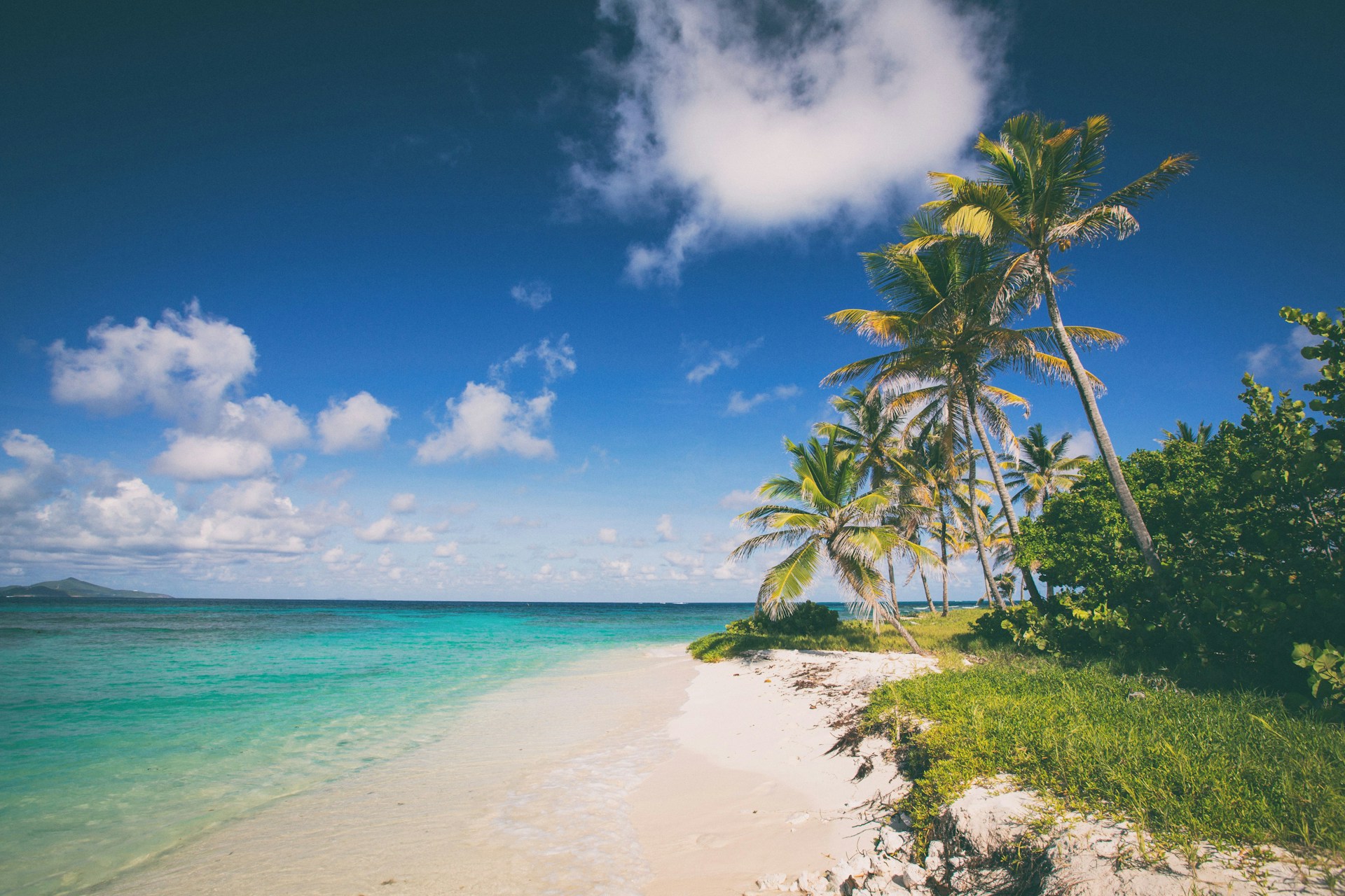 Caribbean - a breathtaking beach with crystal-clear turquoise waters, soft white sand, and swaying palm trees, showcasing paradise at its best.