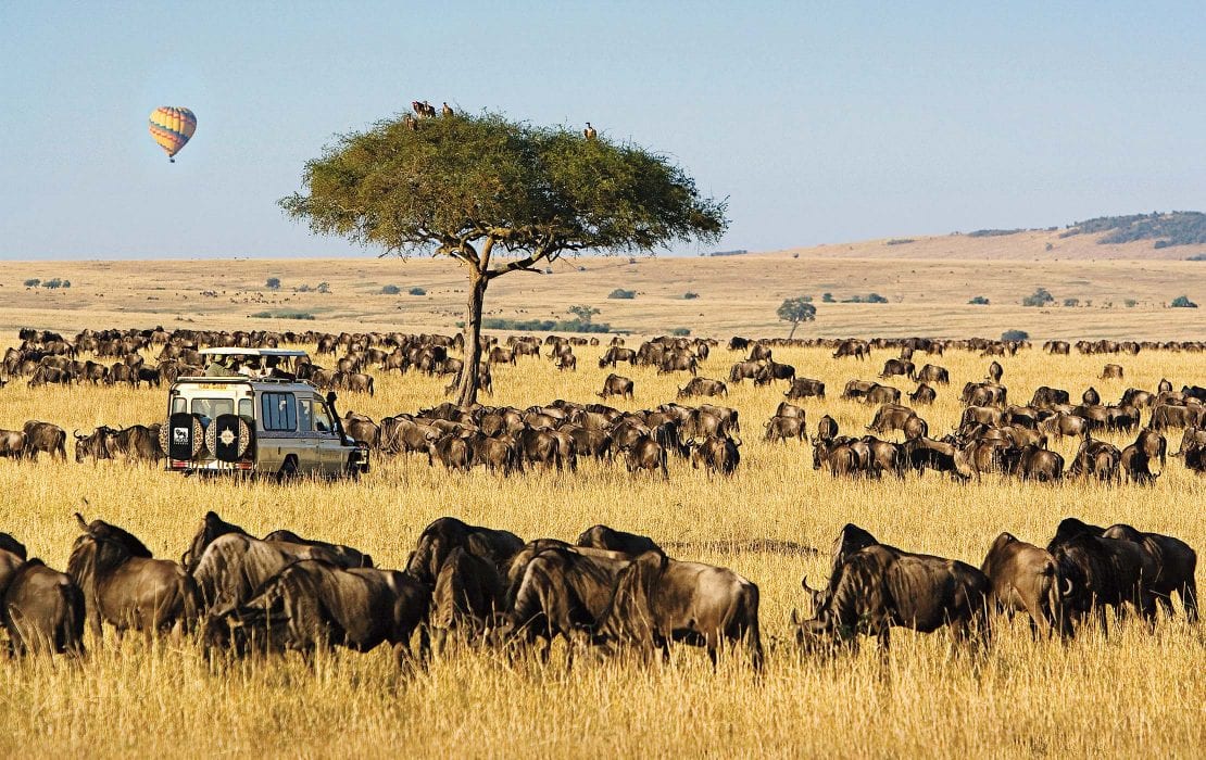 Masai Mara National Reserve: A breathtaking landscape with wildebeest grazing, a hot air balloon soaring above, and a 4x4 safari vehicle exploring the vast plains, offering a unique and immersive wildlife experience.