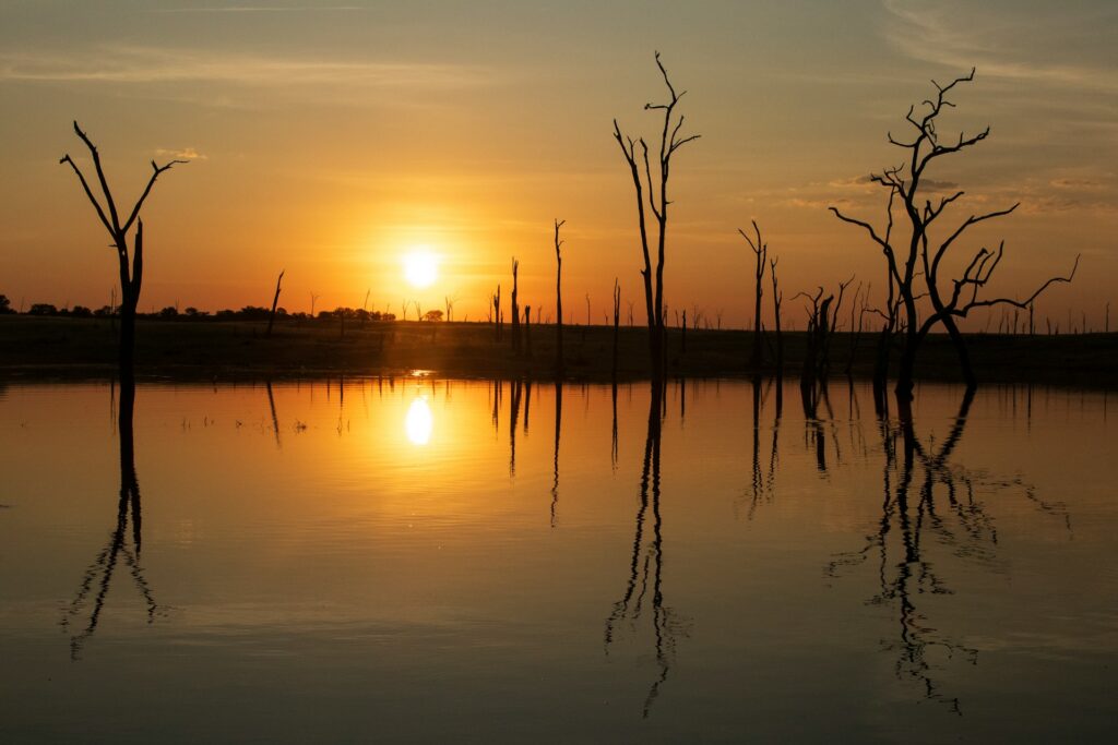 Lake Kariba, Zimbabwe: Dead trees silhouetted against a breathtaking sunset reflecting on the tranquil lake waters.