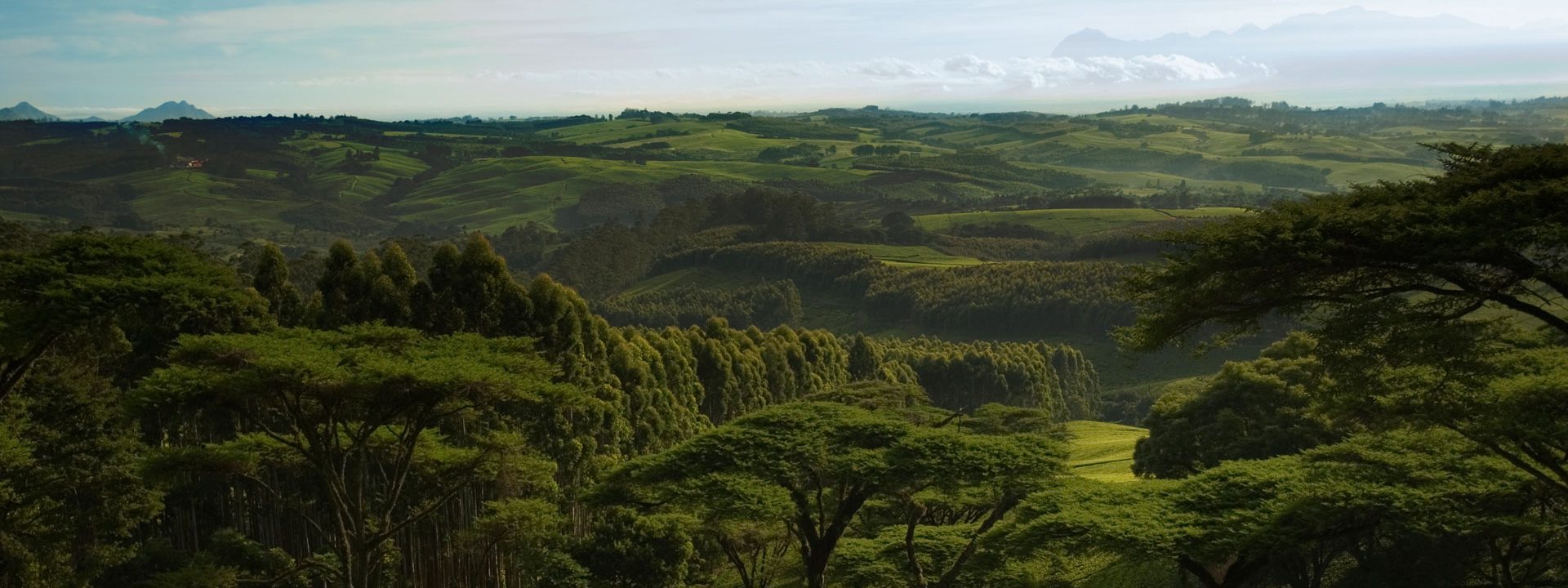 Malawi's southern region, showcasing a lush green landscape with rolling hills and vibrant scenery, highlighting the country's natural beauty.