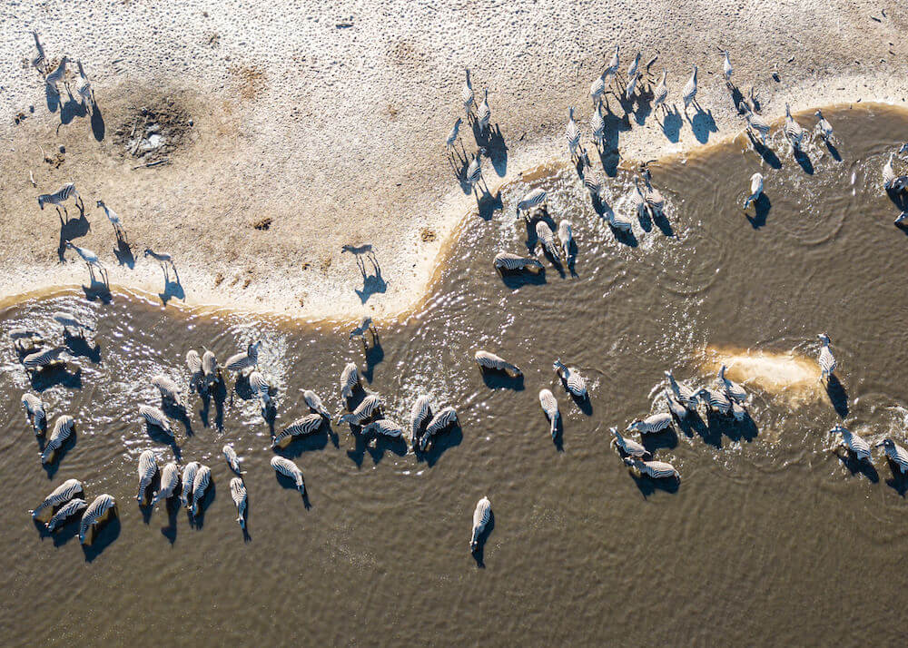 Nxai Pan National Park: A stunning aerial view of the vast landscape with a large herd of zebras, showcasing the beauty and wildlife of this remarkable Botswana destination.