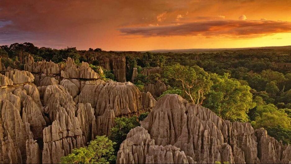 Tsingy & Baobab