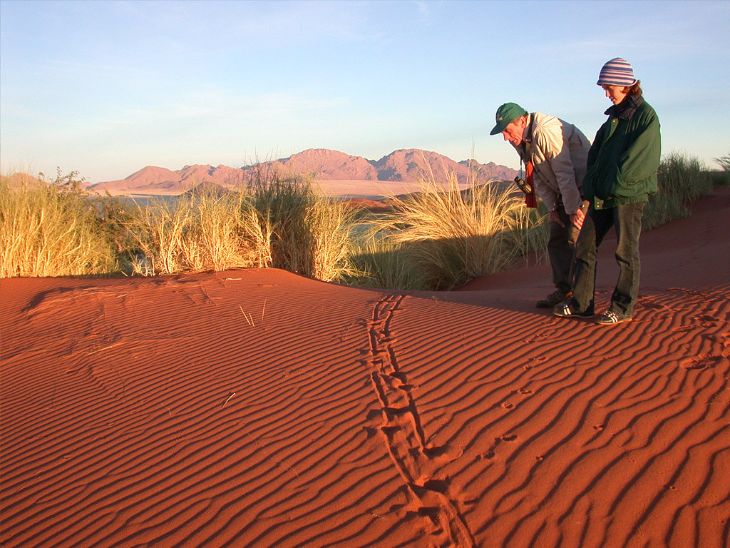 Activities at NamibRand - Walk