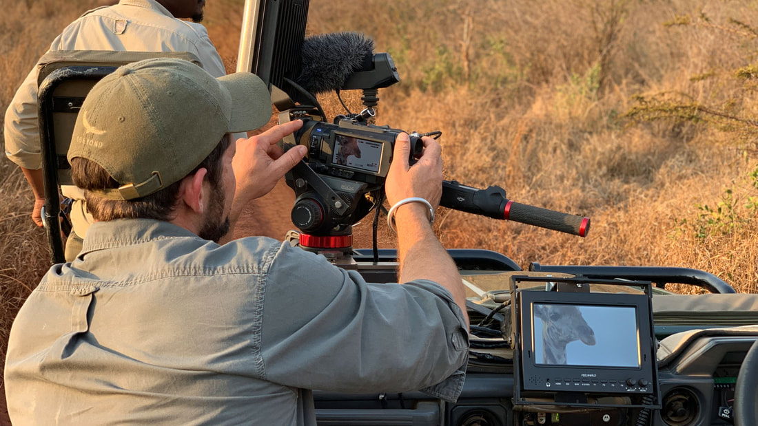 Exclusive Private Safaris