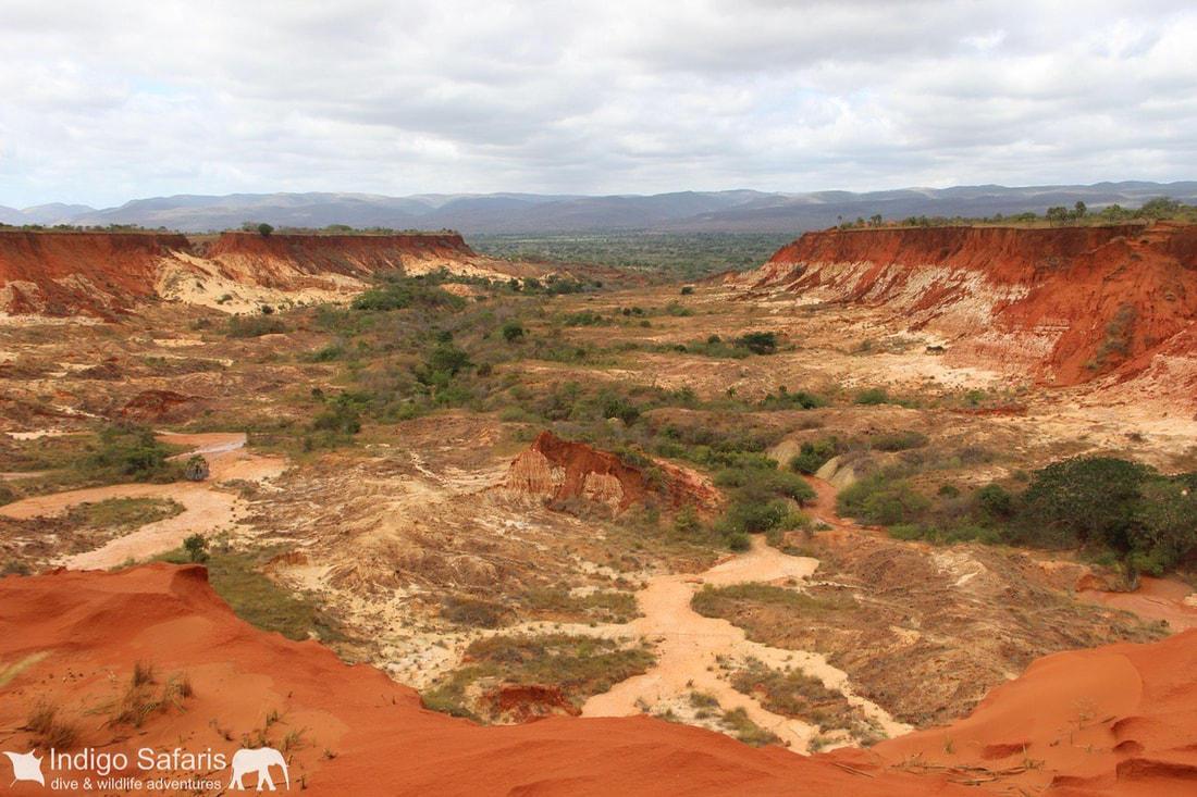wonderful shot of Red Tsingy also known as Tsingy Rogues
