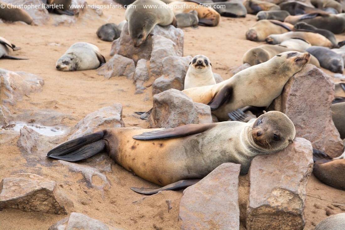 ​​Sights in Swakopmund