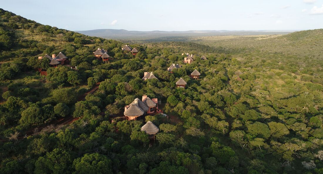 THANDA PRIVATE GAME RESERVE Wildlife Safari Experience