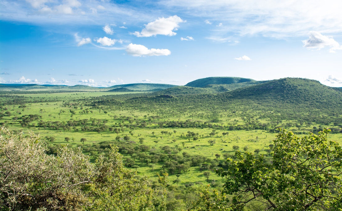 The beautiful view of Tanzania