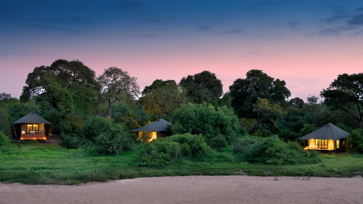Timbavati lodges and activities
