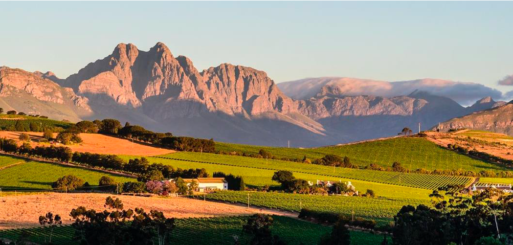 Cape Winelands' Scenery