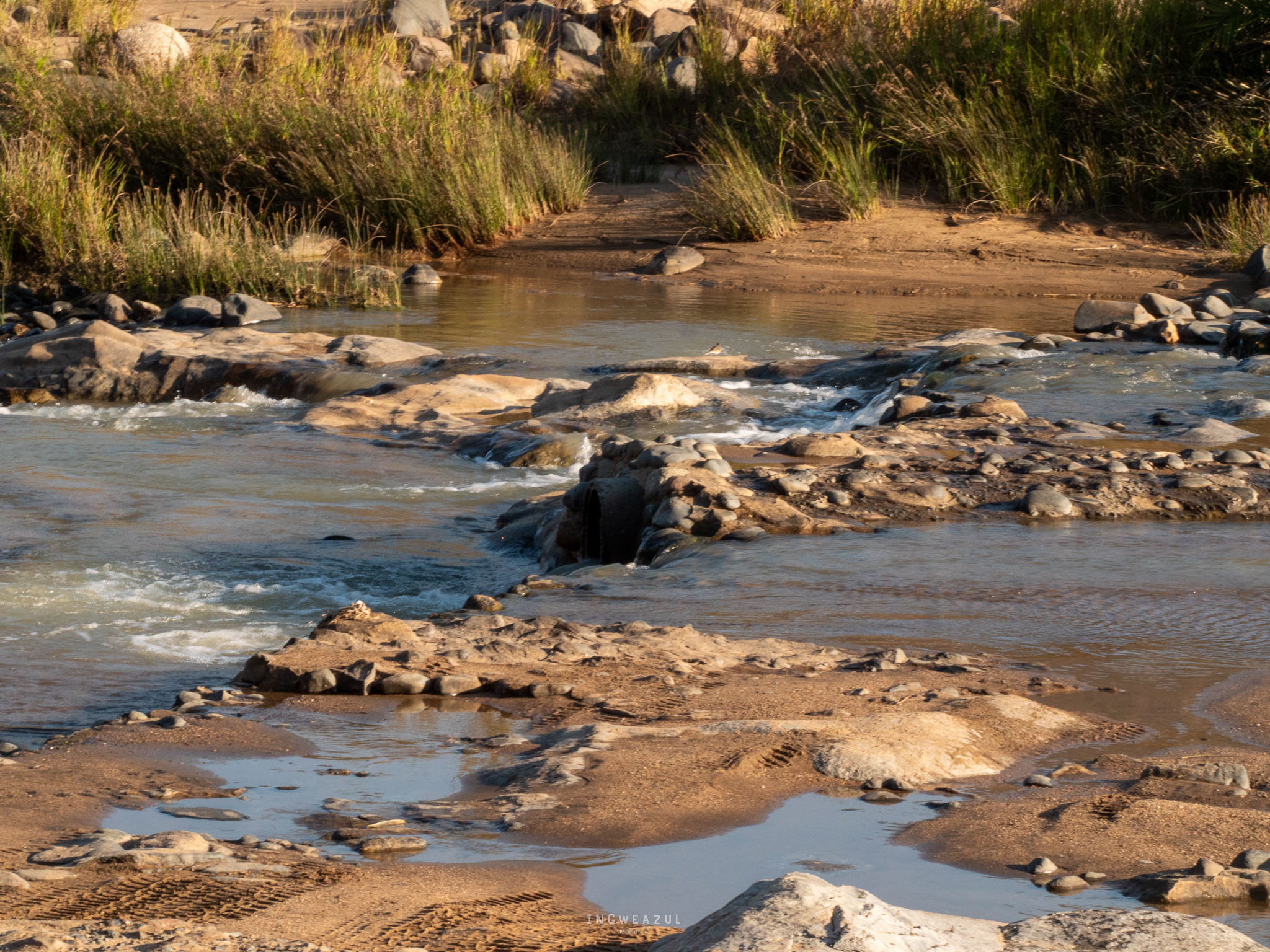 River crossings of Babanango when the river was low