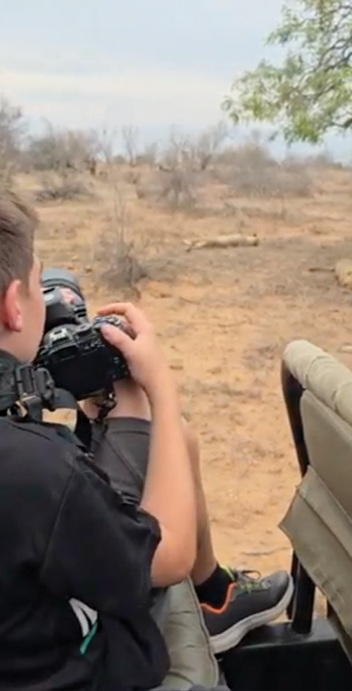 Wildlife Education in Kwazulu Natal showing a young boy observing sleeping lions in an open space, fromt he safety of the Safaris vehicle with camera in hand