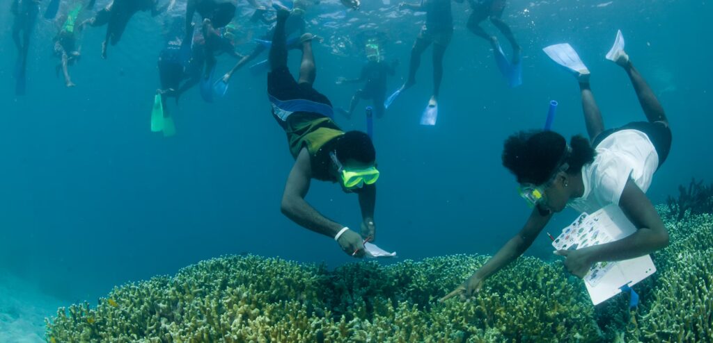Teens taking data from the coral reef, free diving with clipboards in hand. Pointing things out to each other to be noted.