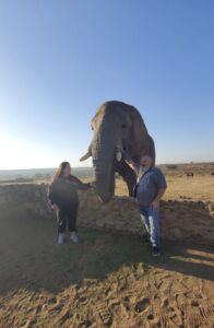 Guests standing with Elephant on a sandy patch, sun shining from the left of them.