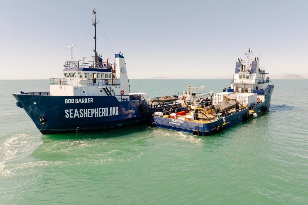 Sea Shepherd boat thethered to another unknown boat in open water.