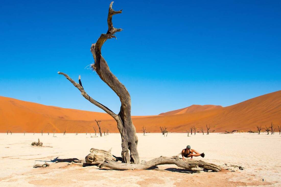 Dead tree with a stump lying at the foot of it in a desert landscape. On the stump lying down there is a lady and in the back ground the sand dunes typical of Sossusvlei