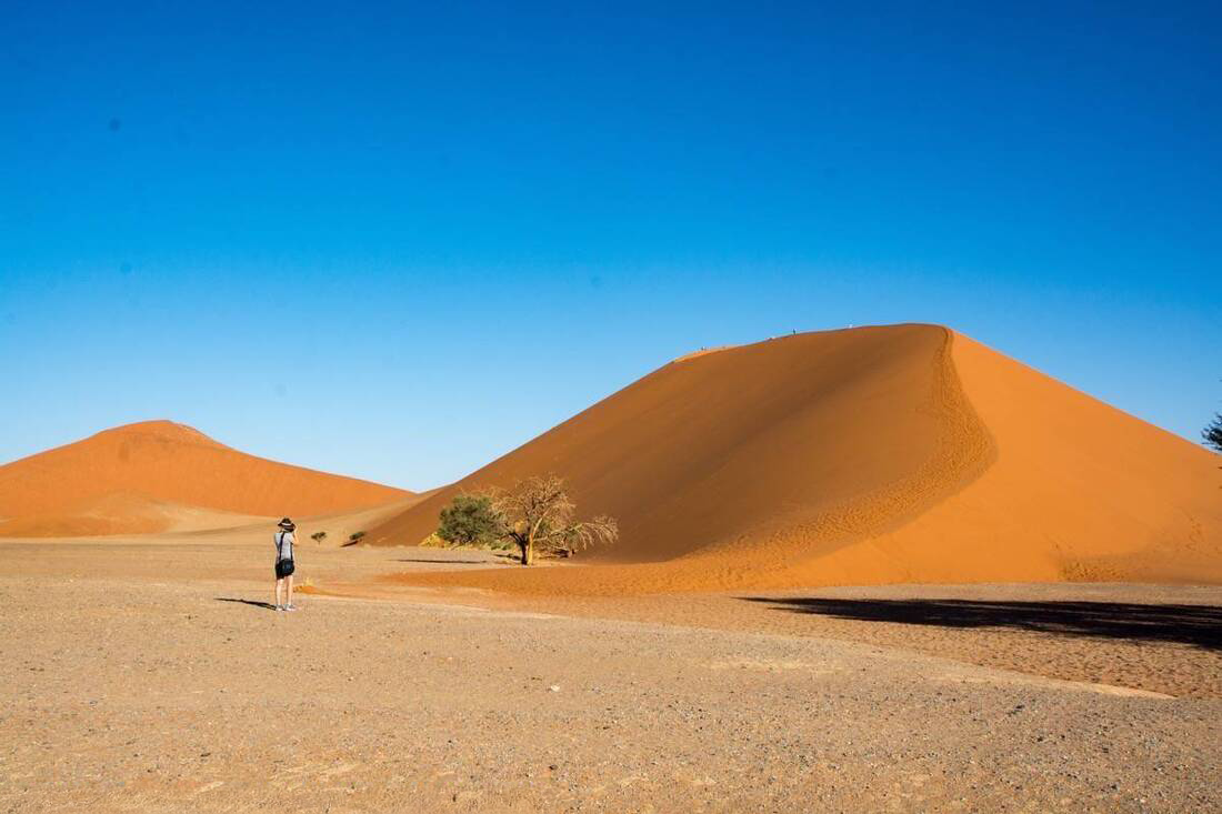 Photographer taking photo of a lone bush at the foot of a sand dune in Sossusvlei