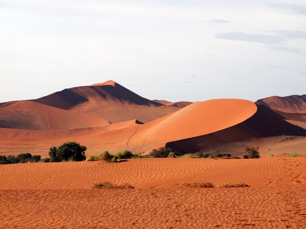 Red Sand Dunes in a beautiful captured scene of Sossuvlei