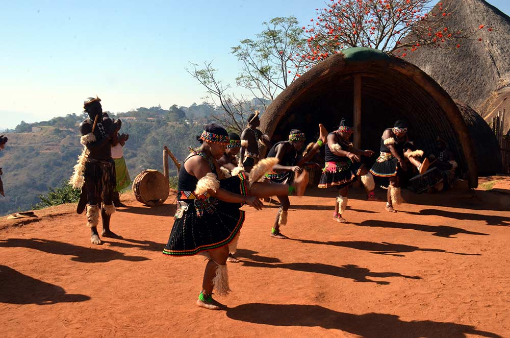 Indigenous to Kwazulu Natal, Zulu Dancers in traditional attire demonstrate their rituals through dance.
