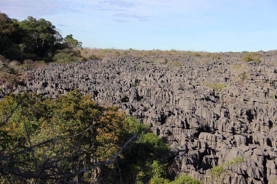 Ankarana Special Reserve protects Madagascar's most accessible major tsingy rock formation