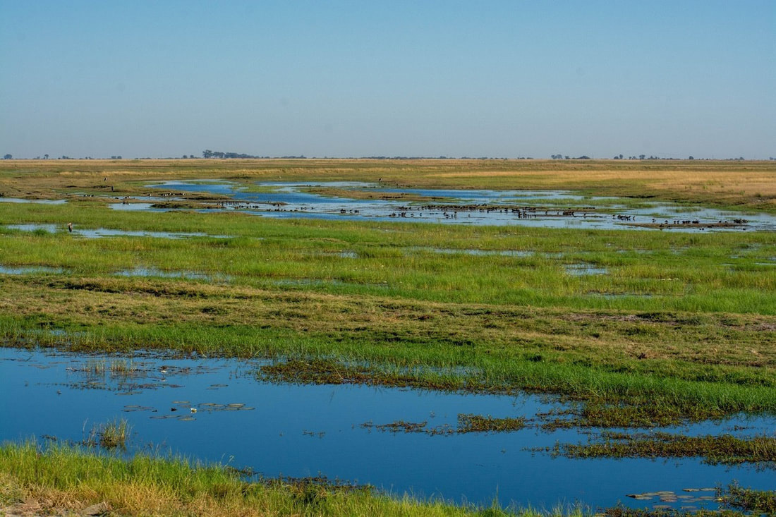 breathtaking view of wetlands at Chobe National Park