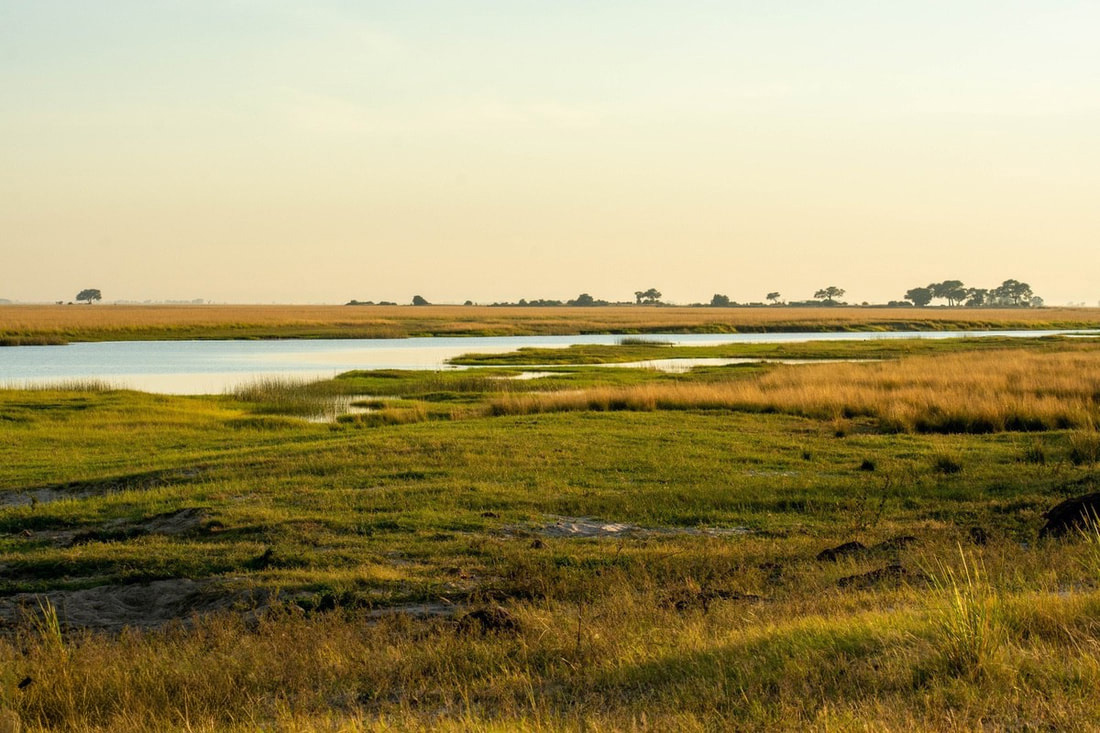 Chobe National Park: A scenic view showcasing its diverse landscape, featuring lush vegetation, open savannas, and serene water features that serve as a habitat for iconic wildlife.