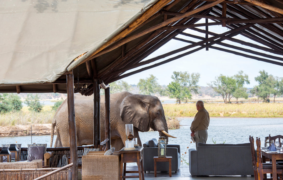 A solo traveller standing next to where an elephant is walking past a safari camp