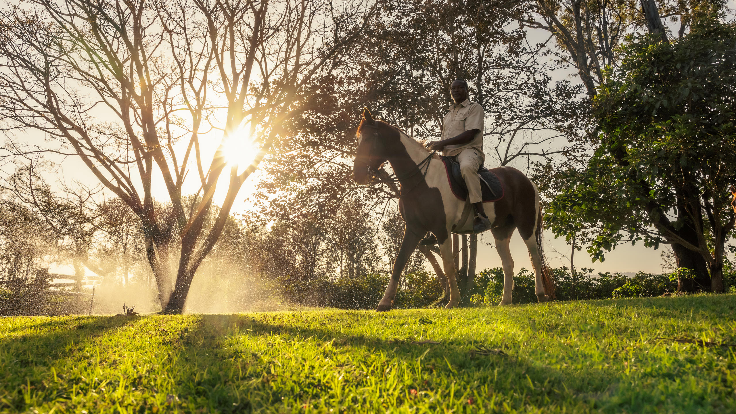 Guide on a horse at Karatu's Elewana: The Manor, sun bursting though the trees.