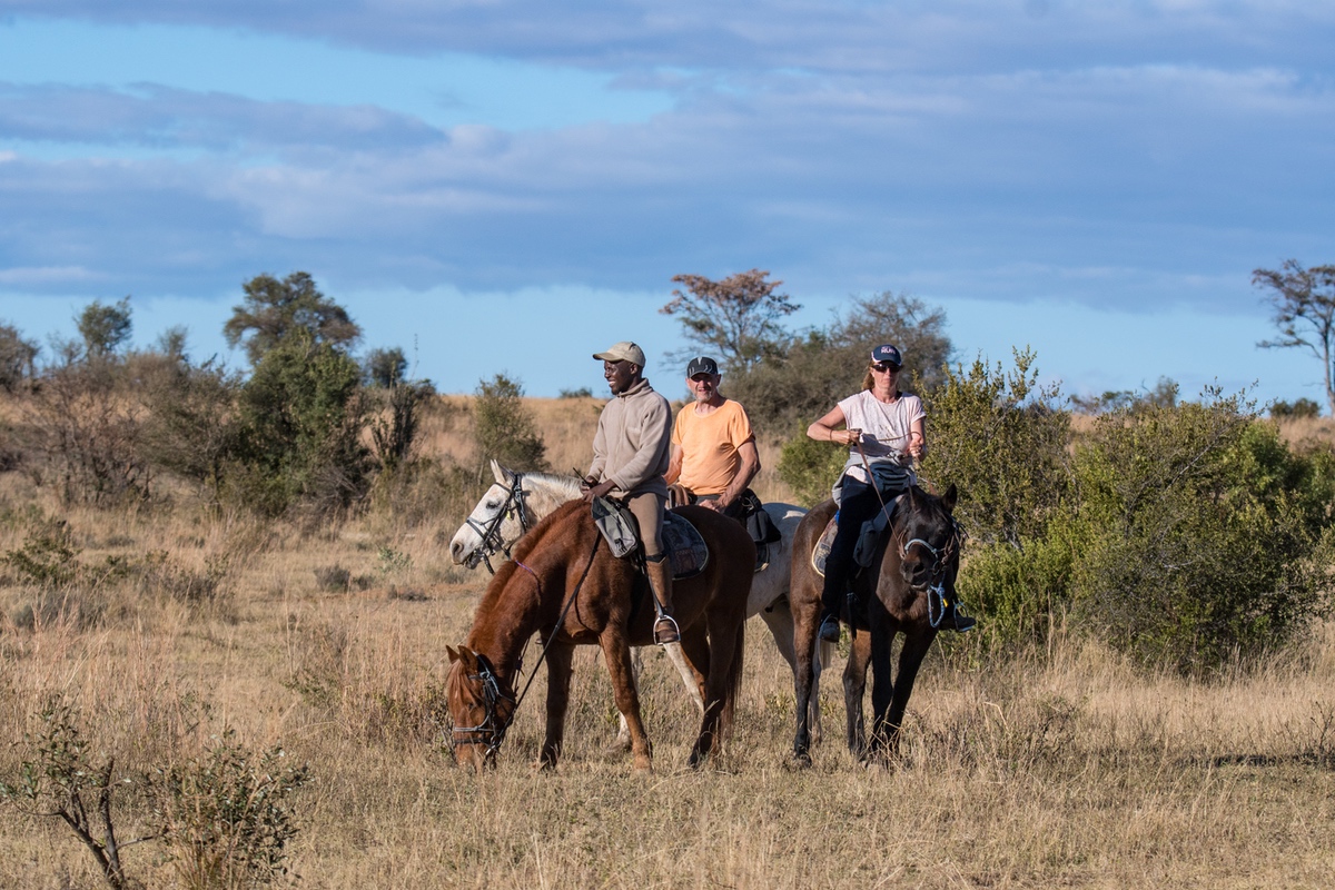 Horseback trails in Waterberg Reserves