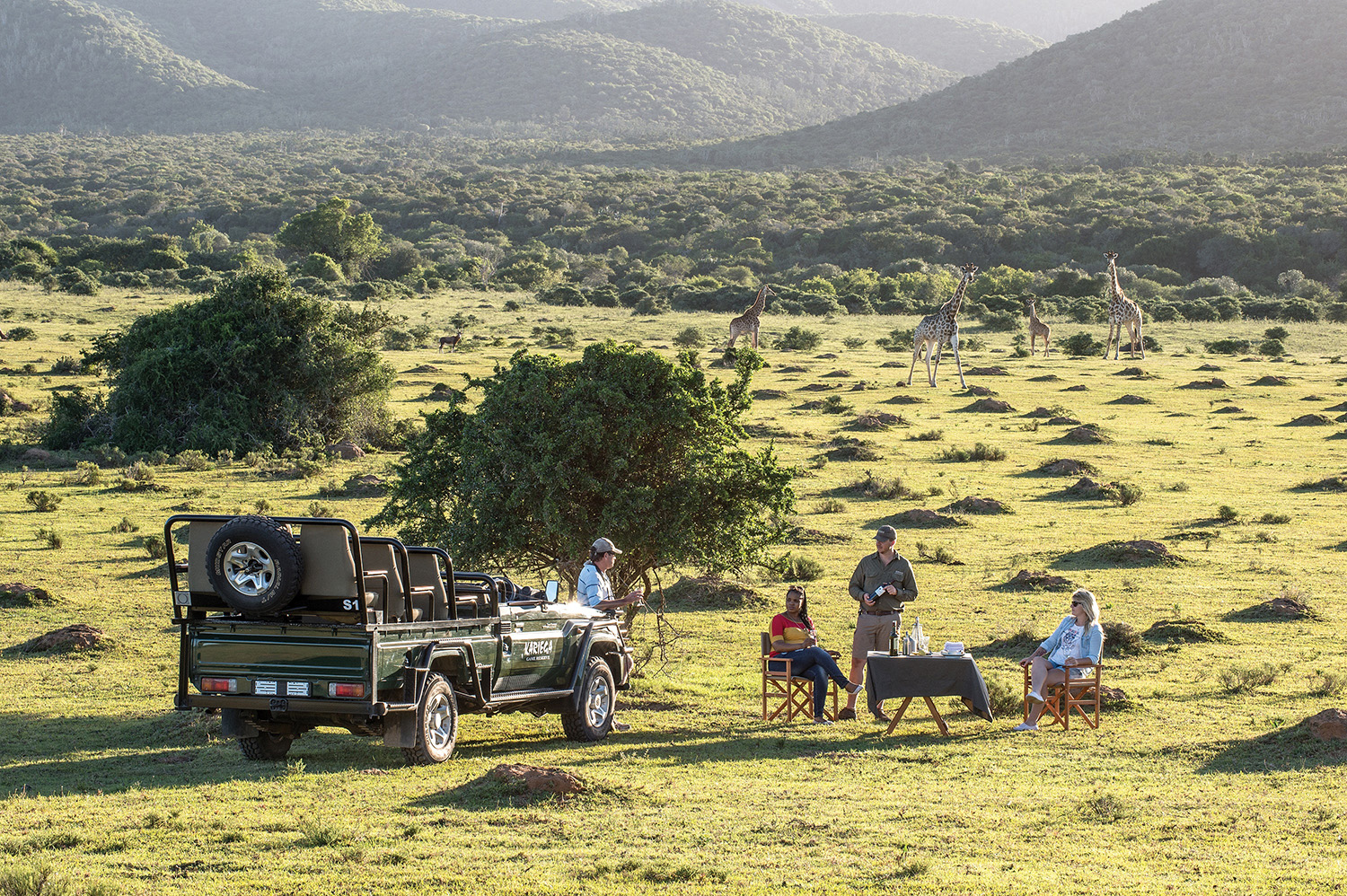 Lunch time in the bush - guests at a table with giraffes in the background.