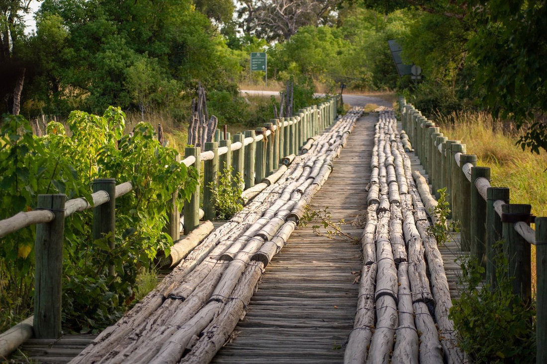wooden bridge in khwai