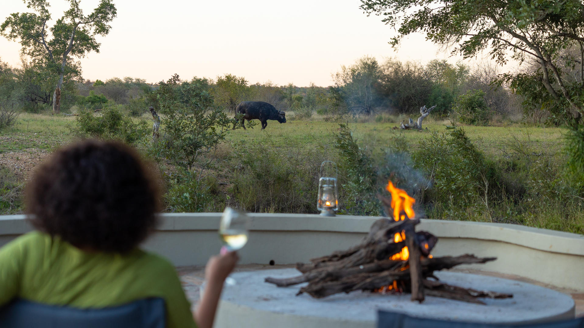 Enjoying a campfire with a sundowner, obverving passing by wildlife in Simbavati