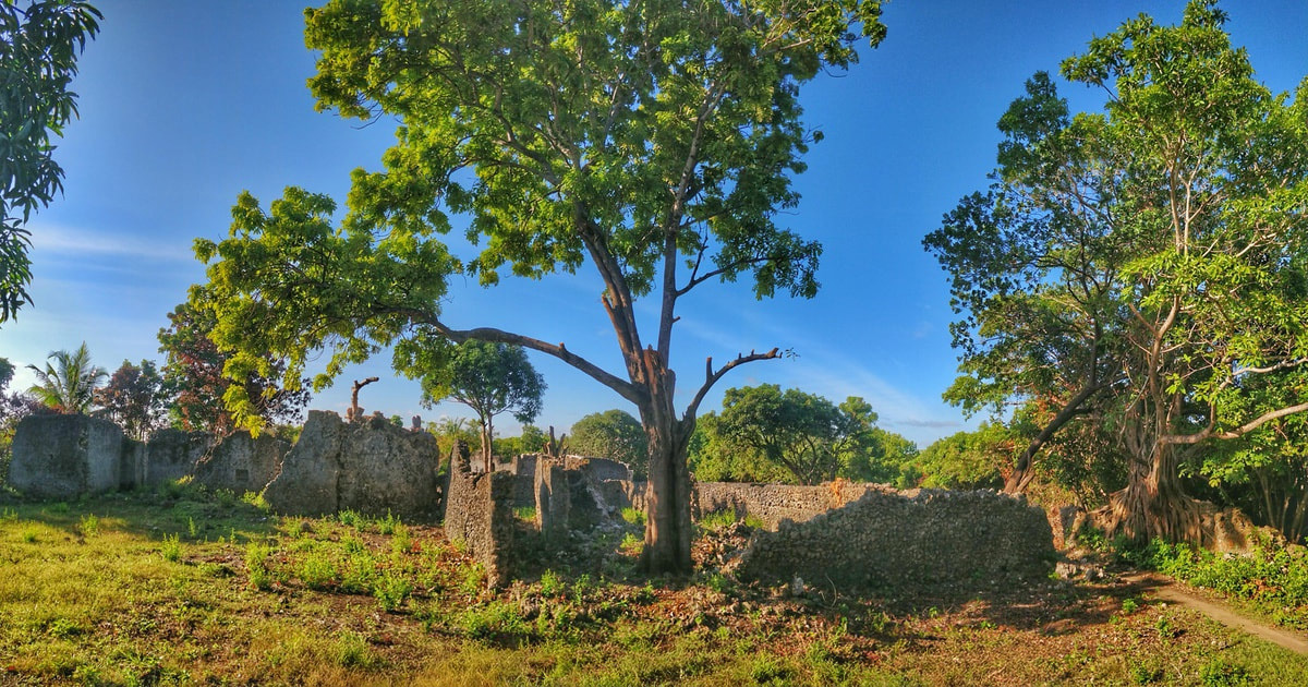 Ruins on Mafia Island that has been over grown by nature and beautiful trees