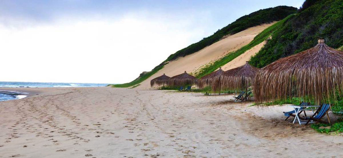 Picturesque Beach of Maputo with grass roof umbrellas.