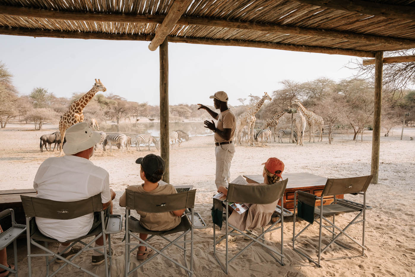 Guests in Maun enjoying a talk by a guide with zebra and giraffes