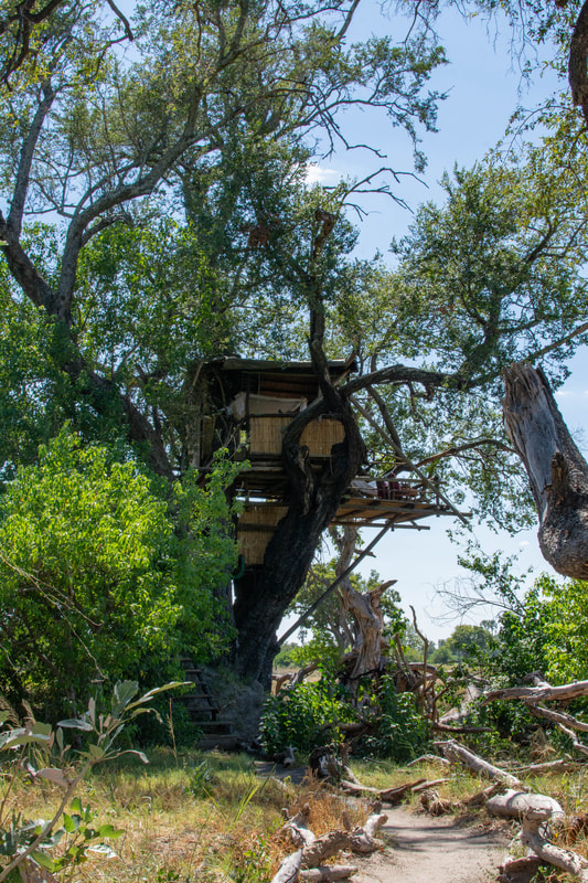 A tree house with a path leading up to it.