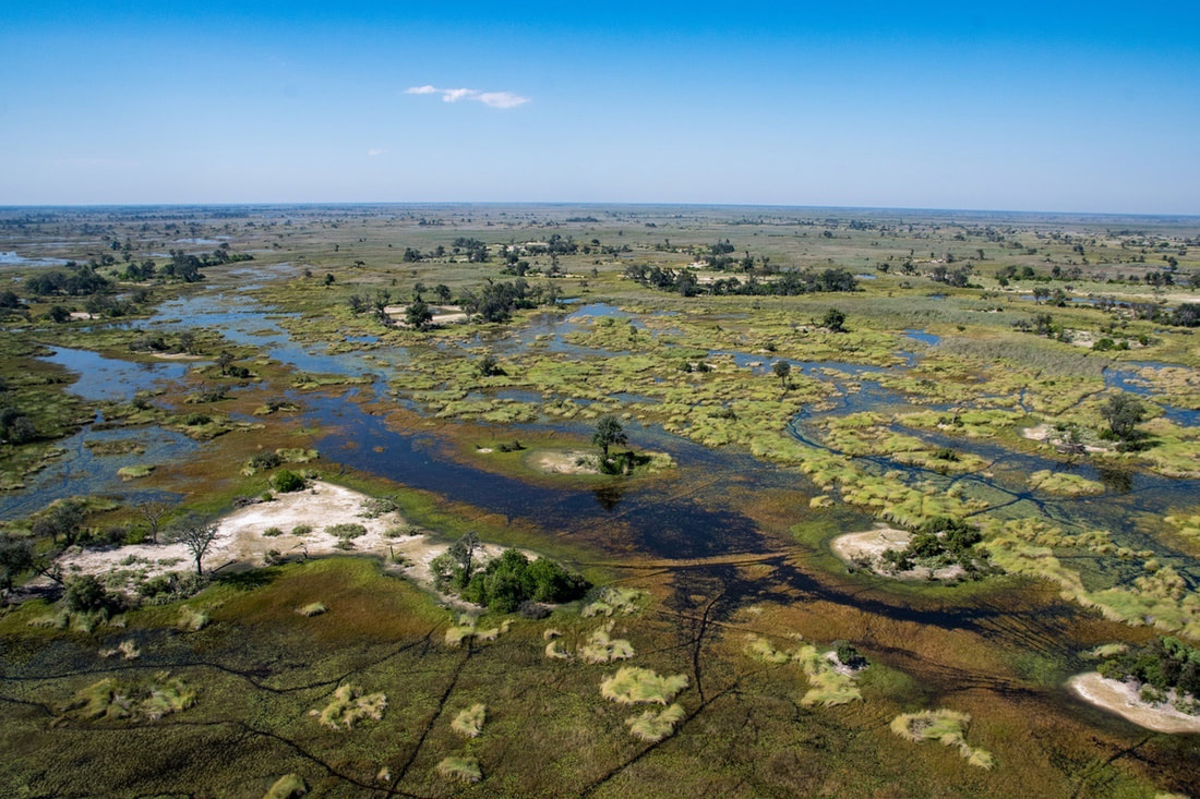 Aerial view of the Okavango Delta showing a network of waterways and wetlands.