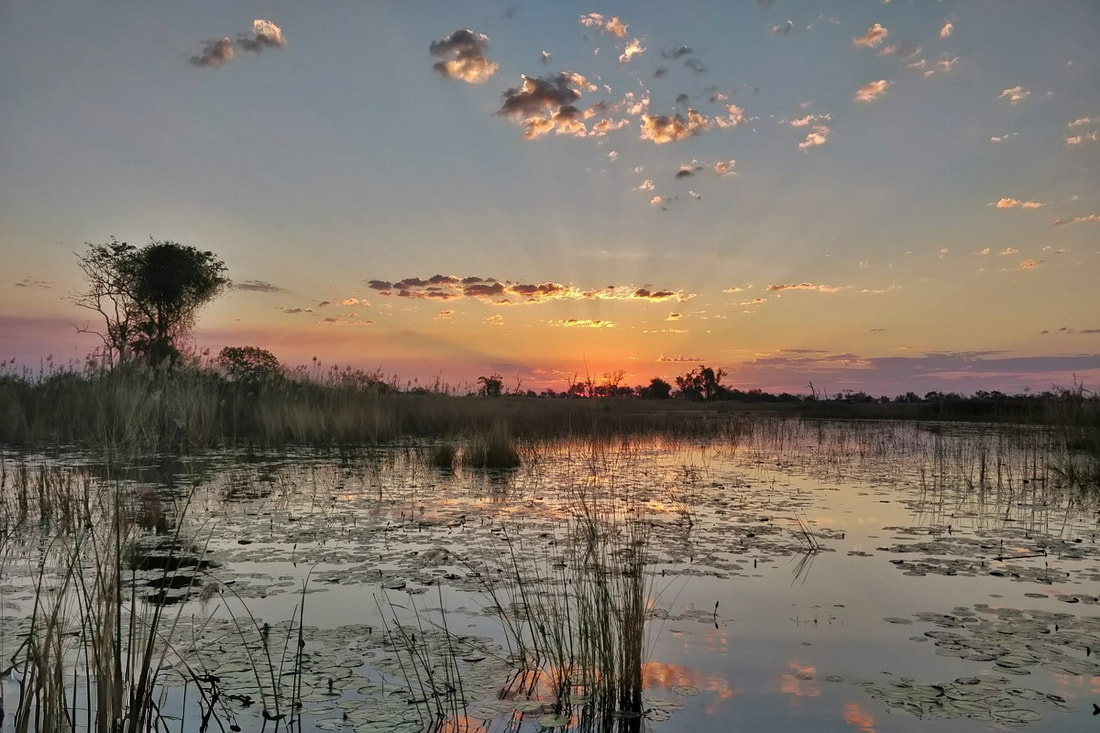 Peaceful and majestic view of the sunset in Okavango Delta