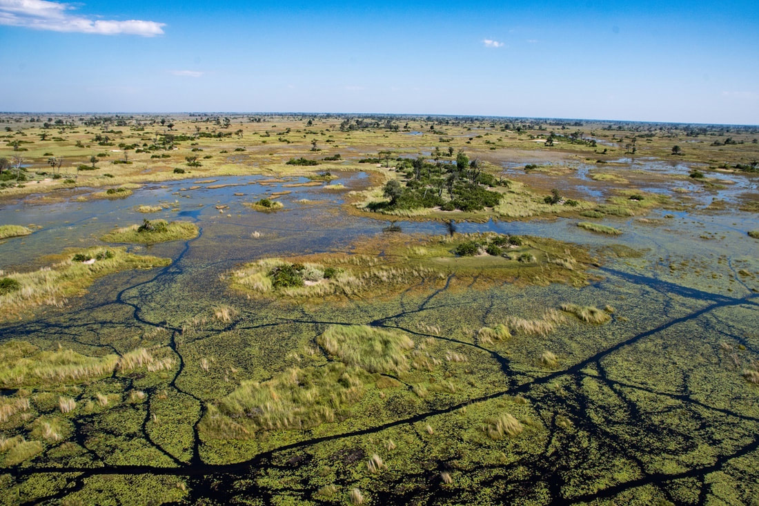 Okavango Delta is a pristine and is a vast inland delta