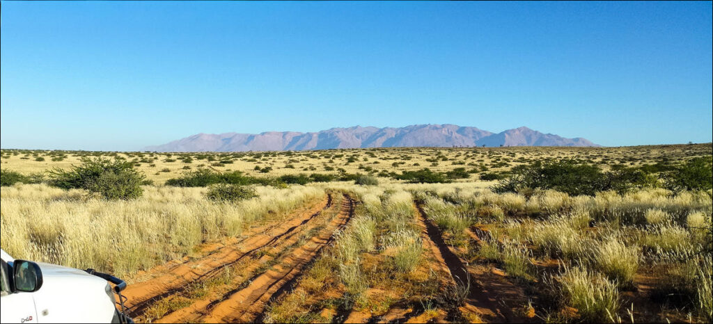Picture of long dirt roads surrounded by beautiful scenery as can be experienced on Private Self Drive Tours