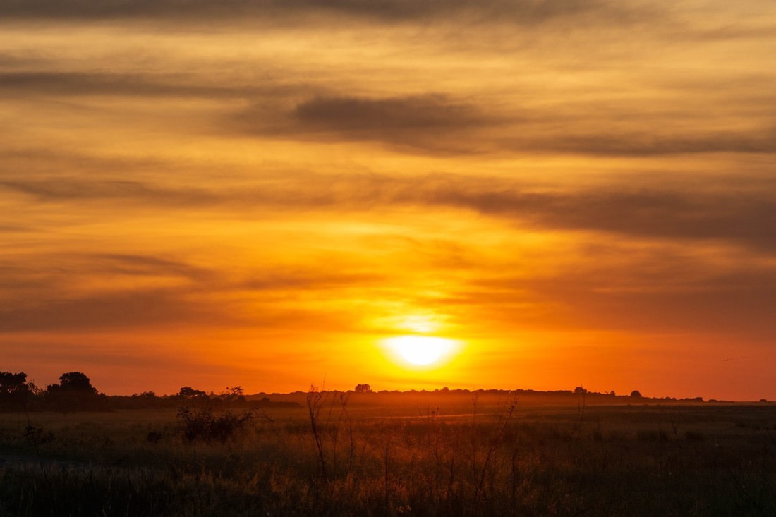 A Savuti Sunset Scene