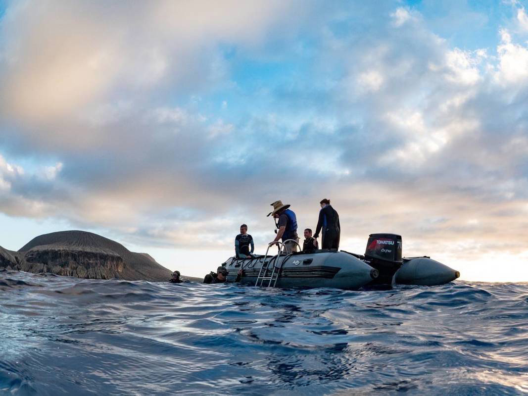 Socorro Tender boat with divers coming up after the dive and an island in the background