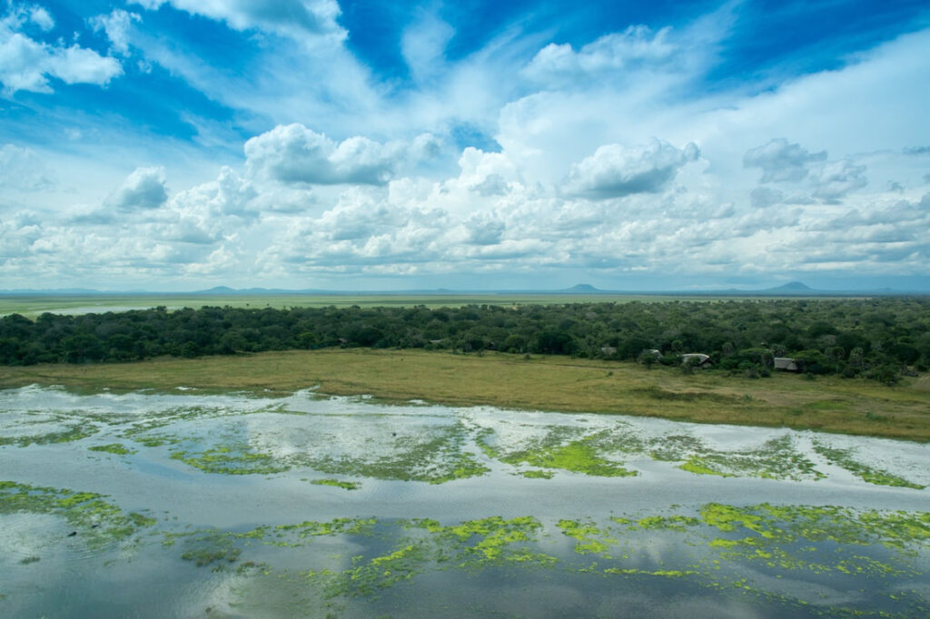Western Tanzania View