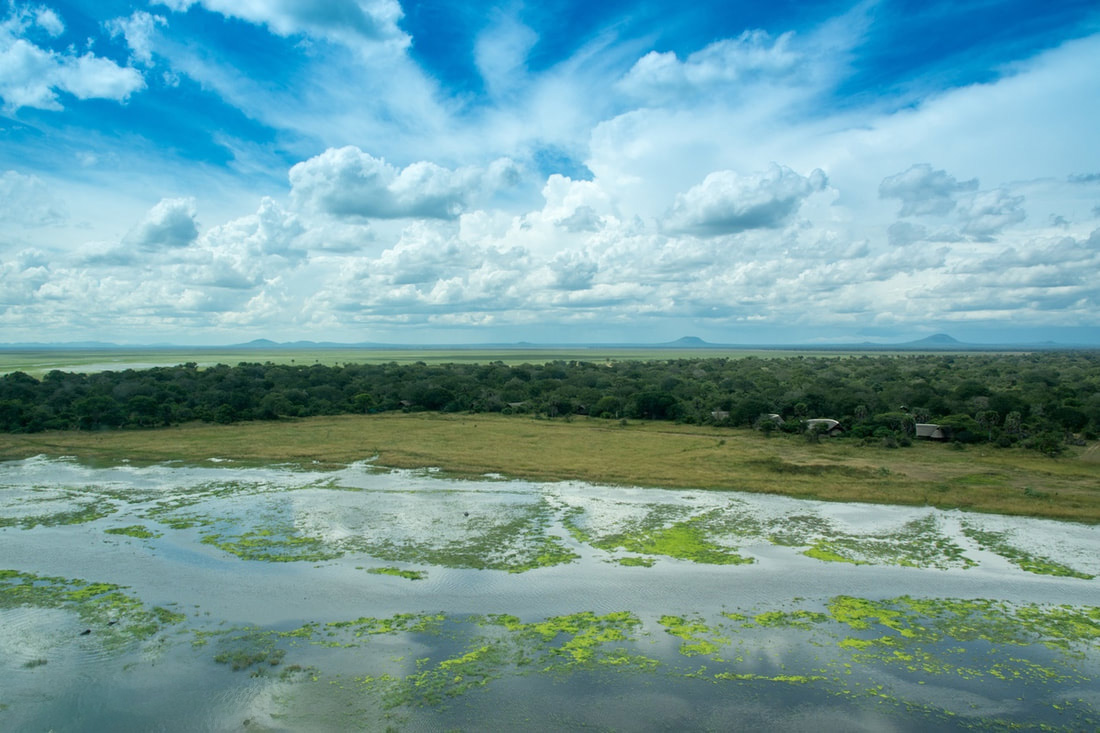 Western Tanzania View