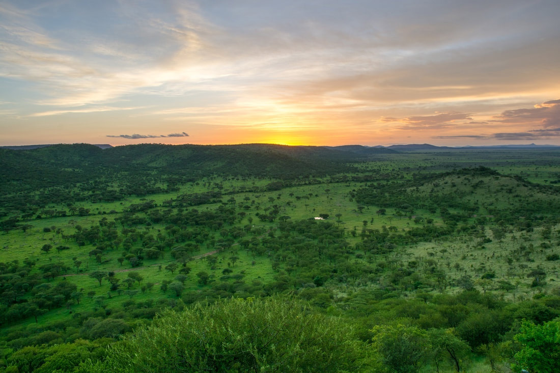 Landscape of beautiful green hills with a sunrise over the central serengeti in Tanzania.